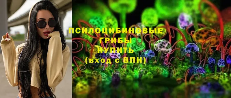 купить наркоту  Бавлы  Псилоцибиновые грибы MAGIC MUSHROOMS 